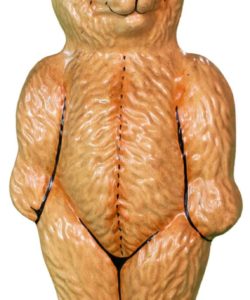 UMass 2001 Dream Bear