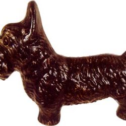 Black Scottish Terrier