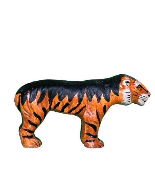 Ark Tiger
