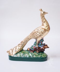 Golden Peacock