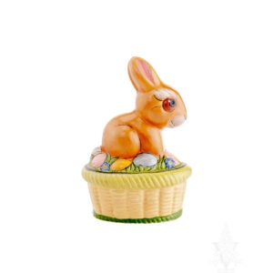 Baby Bunny in Egg Basket
