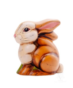 Small Brown Bunny