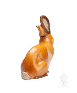Rabbit Licking Paw