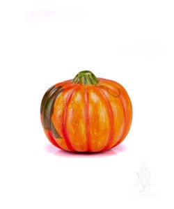 Pumpkin with Vine