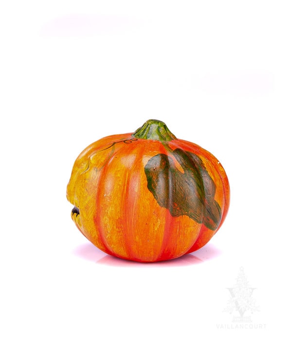 Pumpkin with Vine