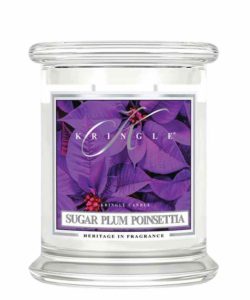 Sugar Plum Poinsettia  - Medium (14oz)