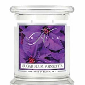 Sugar Plum Poinsettia  - Medium (14oz)