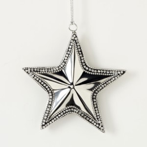 Silver Star Ornament 4''