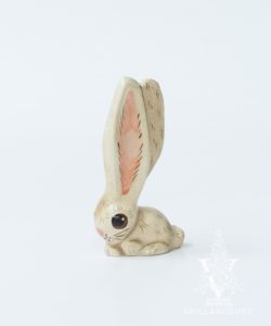 Tiny White Bunny with Big Ears
