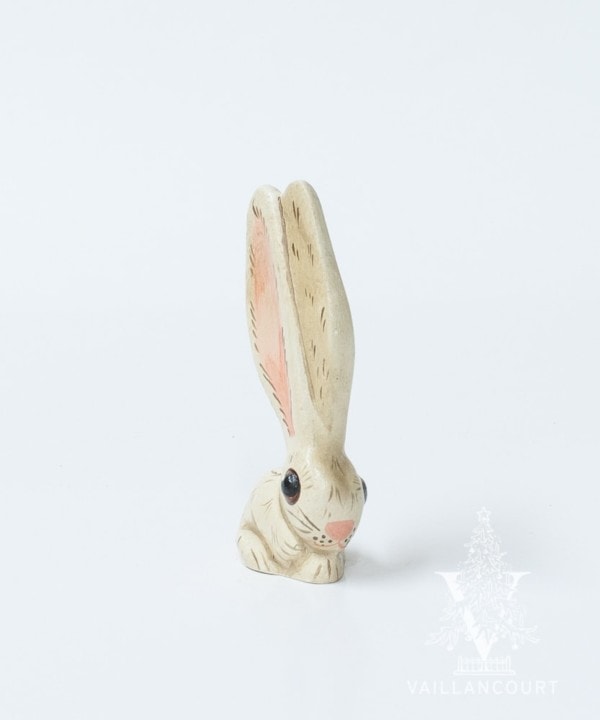 Tiny White Bunny with Big Ears