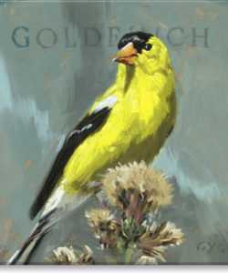 Goldfinch Giclee Wall Art