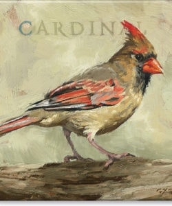 Female Cardinal Giclee Wall Art