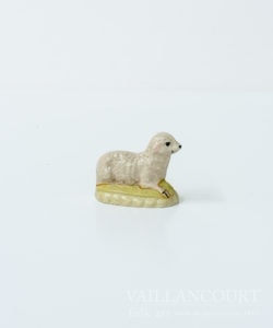 Miniature Sheep Lying Down