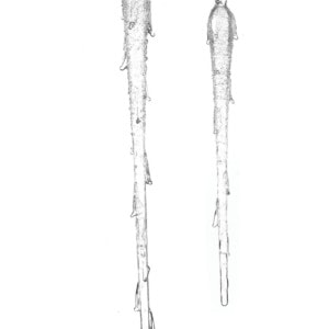 Frosted Glass Icicle (Assorted)