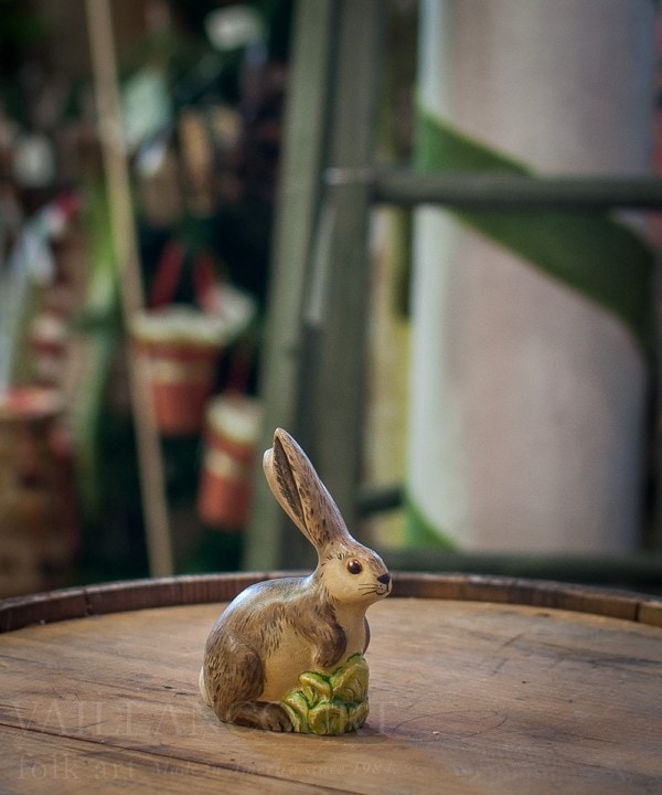 Brown Bunny with Cabbage