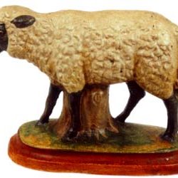 Standing Suffolk Lamb with Stump