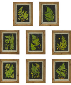Natural Wood Framed Fern Prints (Assorted)