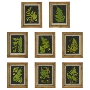 Natural Wood Framed Fern Prints (Assorted)