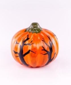Pumpkin with Dark Forest Shadows