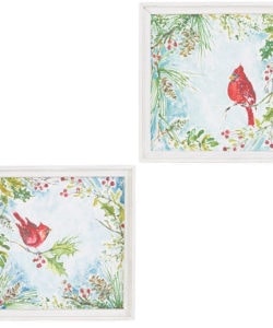 Cardinal Framed Print