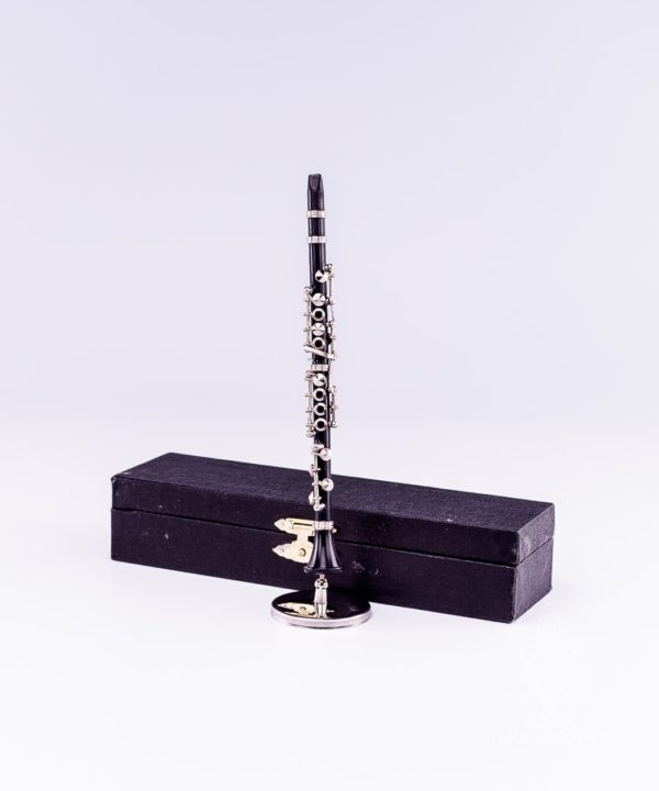 Clarinet with Case and Stand