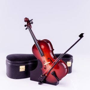 Cello with Case and Stand