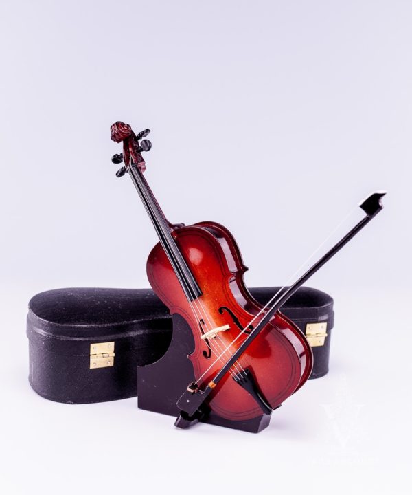 Cello with Case and Stand