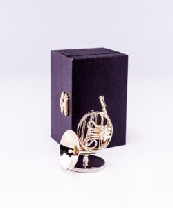 French Horn with Case and Stand