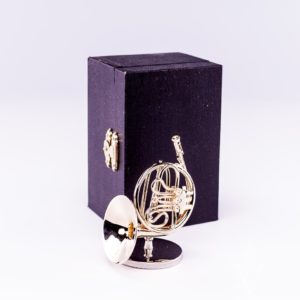 French Horn with Case and Stand