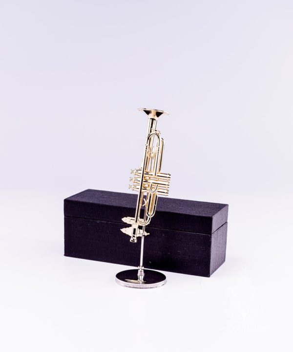 Trumpet with Case and Stand