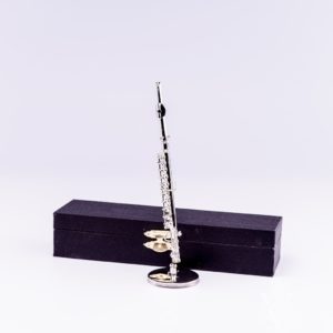 Flute  with Case and Stand