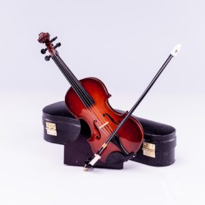 Violin with Case and Stand