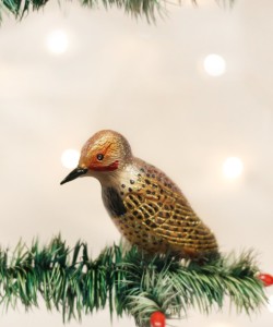 Northern Flicker Ornament