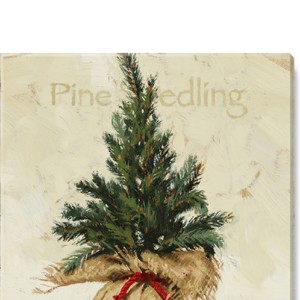 Pine Seedling Giclee Wall Art