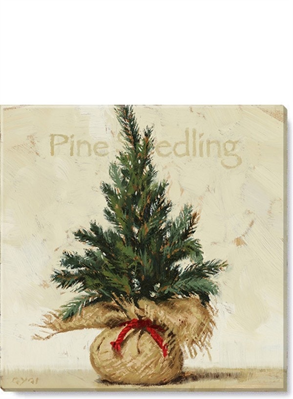 Pine Seedling Giclee Wall Art