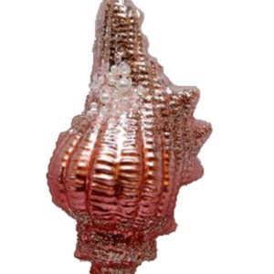 Coral Shell Ornament by December Diamonds