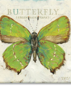 Green Hairstreak Butterfly Giclee Wall Art