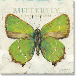 Green Hairstreak Butterfly Giclee Wall Art