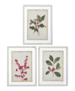 Holiday Floral Print Assorted