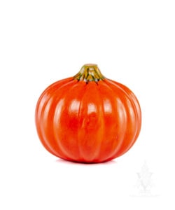 Day Of The Dead Pumpkin