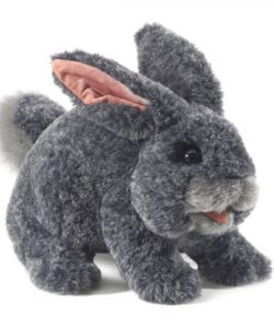 Gray Rabbit Bunny