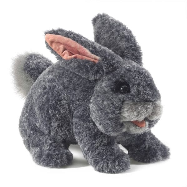 Gray Rabbit Bunny