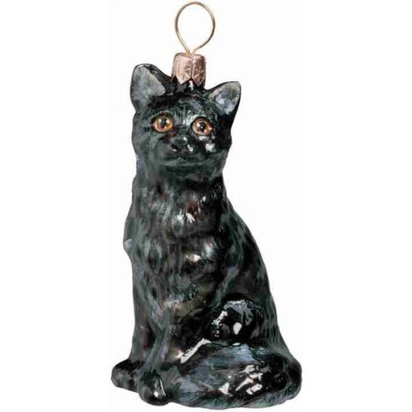 American Short Hair Cat Black Ornament