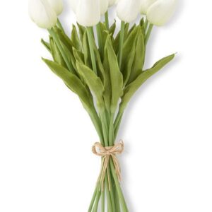 Mini Tulip Bundle White