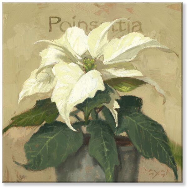 White Poinsettia Giclee Wall Art