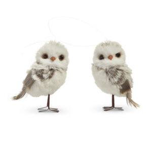 4.5" Winter Owl Ornament (Assorted)