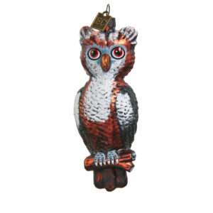 EC 4.75" Give a Hoot Ornament