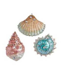 Seashell Ornament (Assorted)