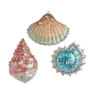 Seashell Ornament (Assorted)