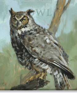 Owl Giclee Wall Art